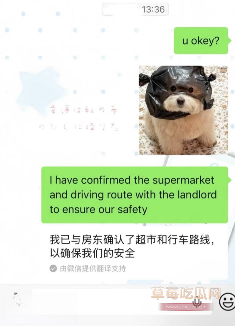 浙江女和老外的聊天记录10 浙江女和老外的聊天记录10