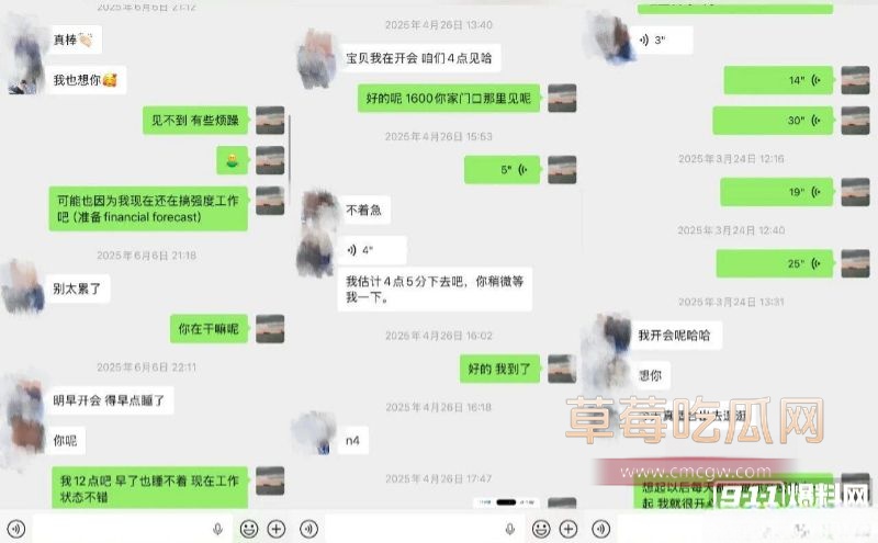 顶级信托白富美与男友的聊天记录8 顶级信托白富美与男友的聊天记录8