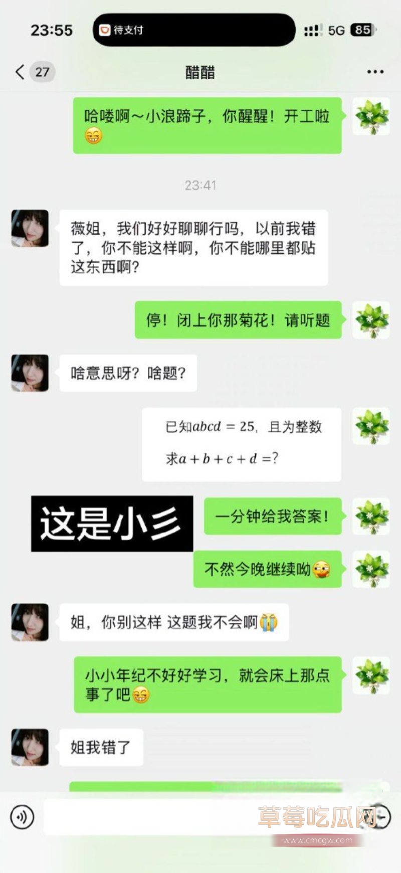 90后东北女孩 怀孕6月遭小三张甜茜刺激1