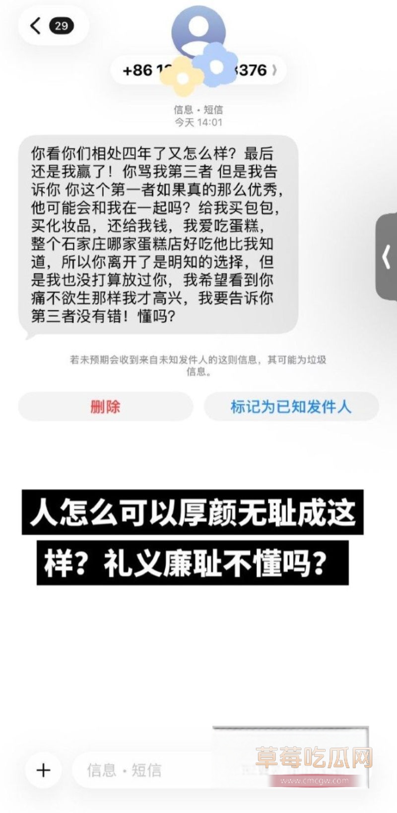 90后东北女孩 怀孕6月遭小三张甜茜刺激2