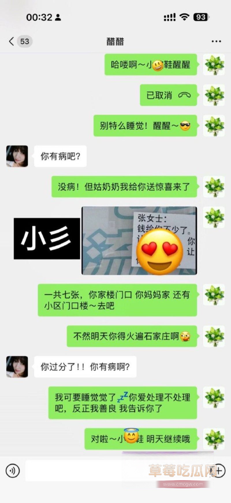 90后东北女孩 怀孕6月遭小三张甜茜刺激4