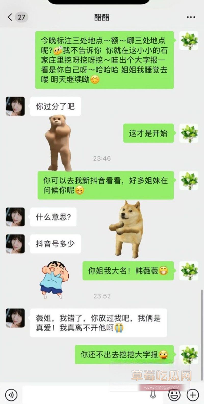 90后东北女孩 怀孕6月遭小三张甜茜刺激10