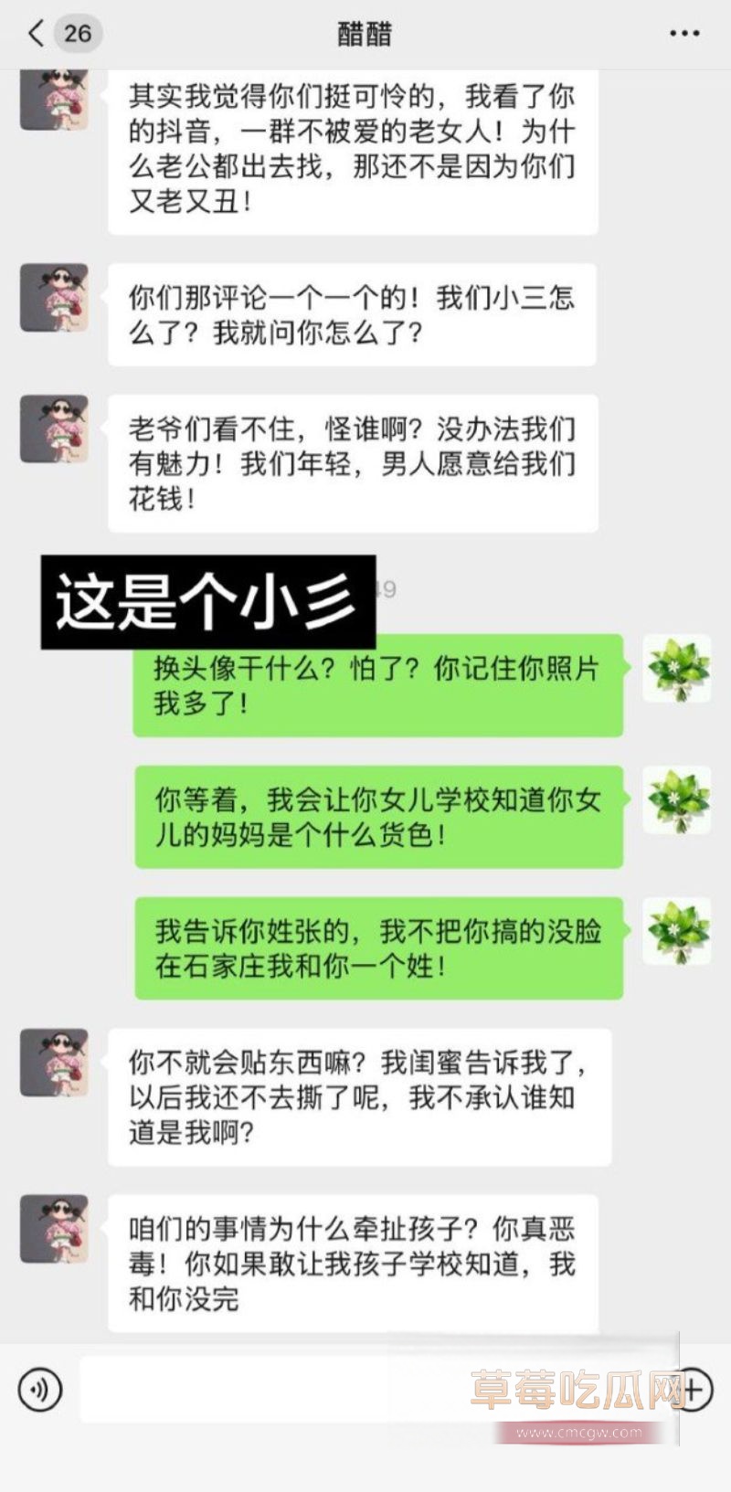 90后东北女孩 怀孕6月遭小三张甜茜刺激11