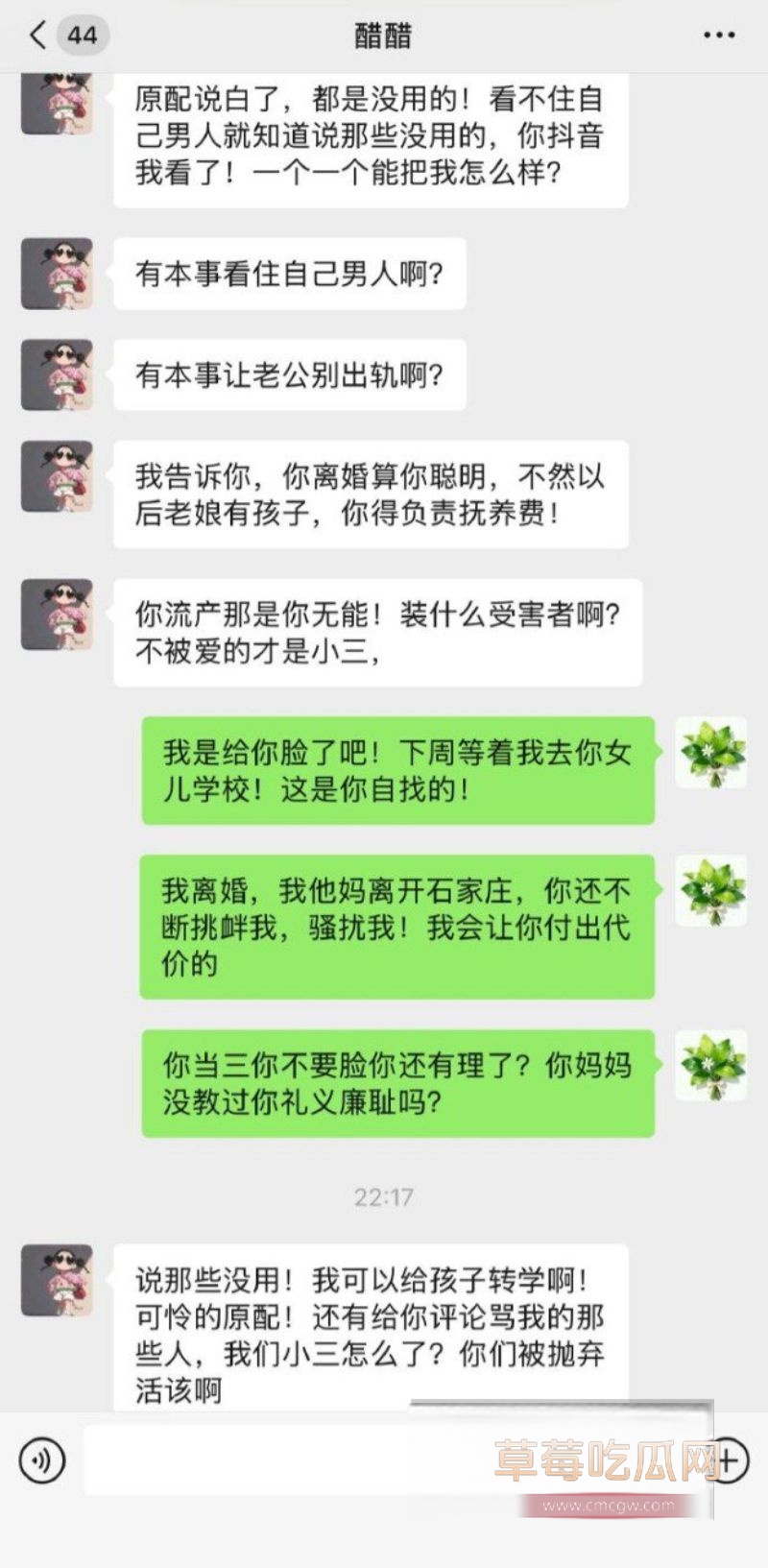 90后东北女孩 怀孕6月遭小三张甜茜刺激12