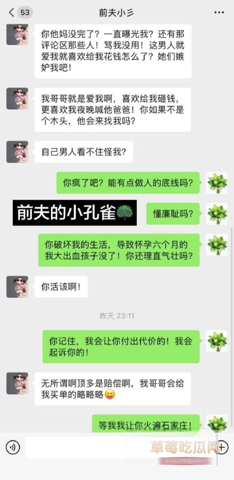 90后东北女孩 怀孕6月遭小三张甜茜刺激13