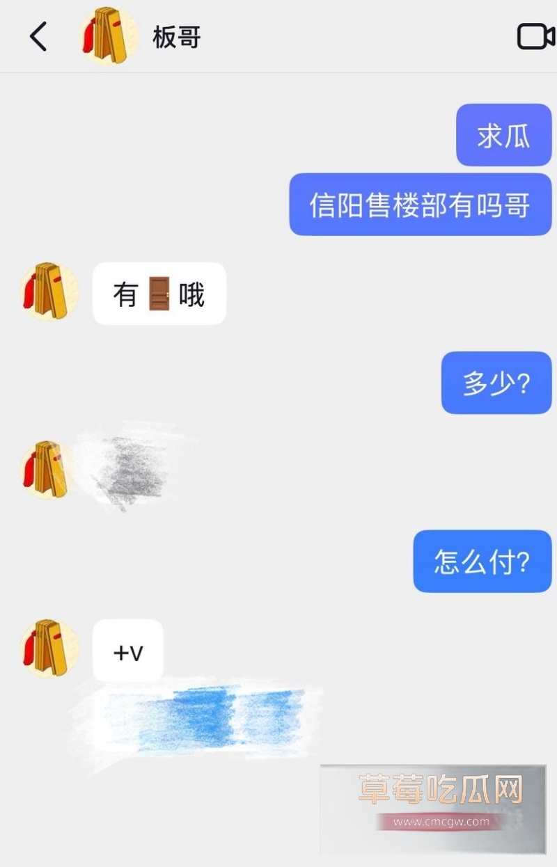 张婷 5