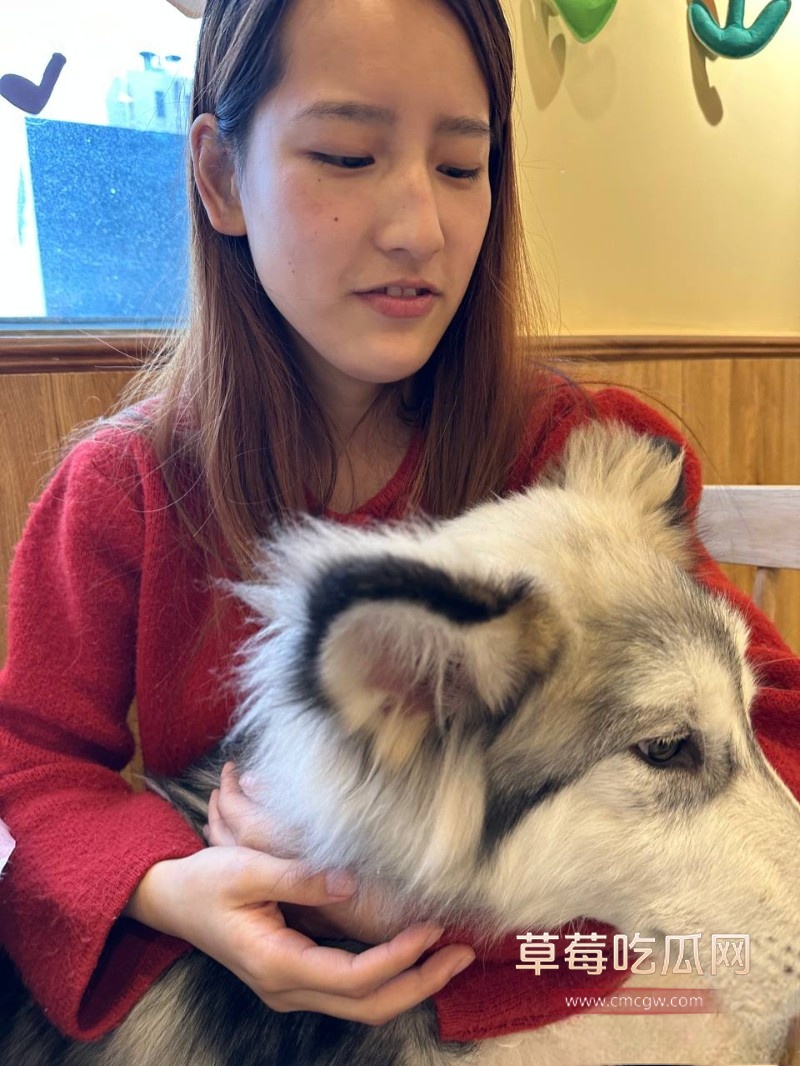 付紫晗 1 付紫晗 1