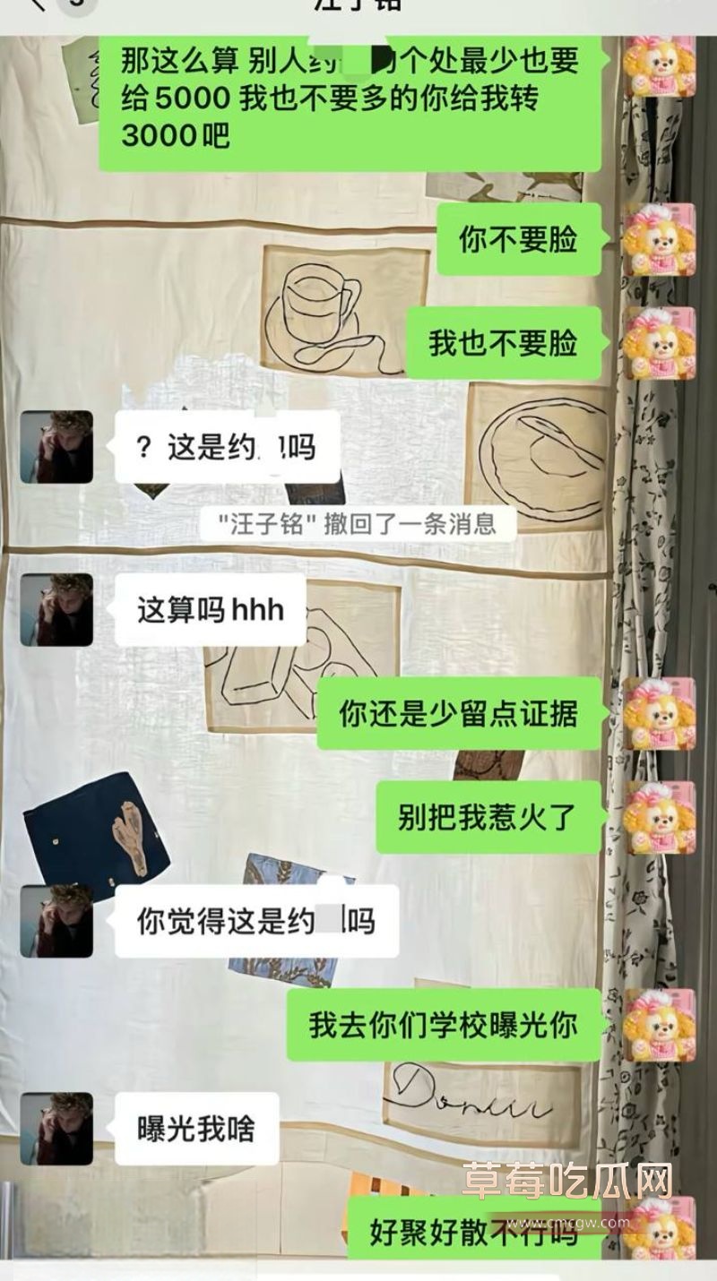 女主和汪子铭的聊天记录12