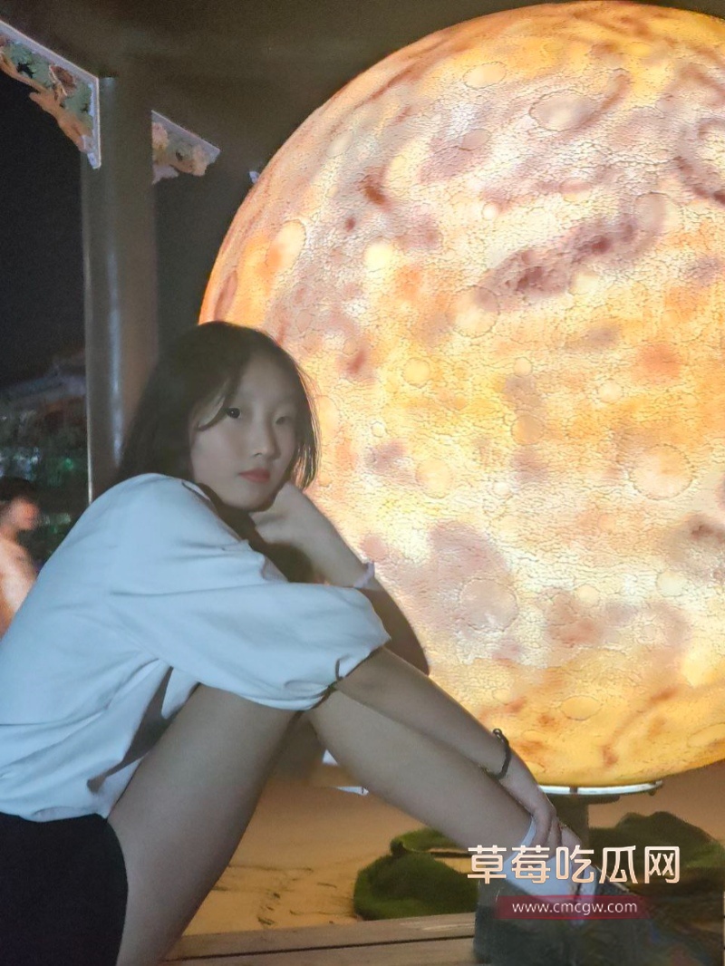 四川成都外国语大学 李云燕 23 四川成都外国语大学 李云燕 23