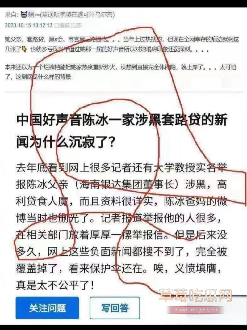 中国好声音选手 陈冰 43