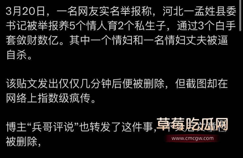 河北临西县委书记孟宪鹏 4