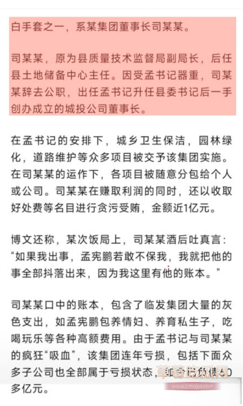河北临西县委书记孟宪鹏 8