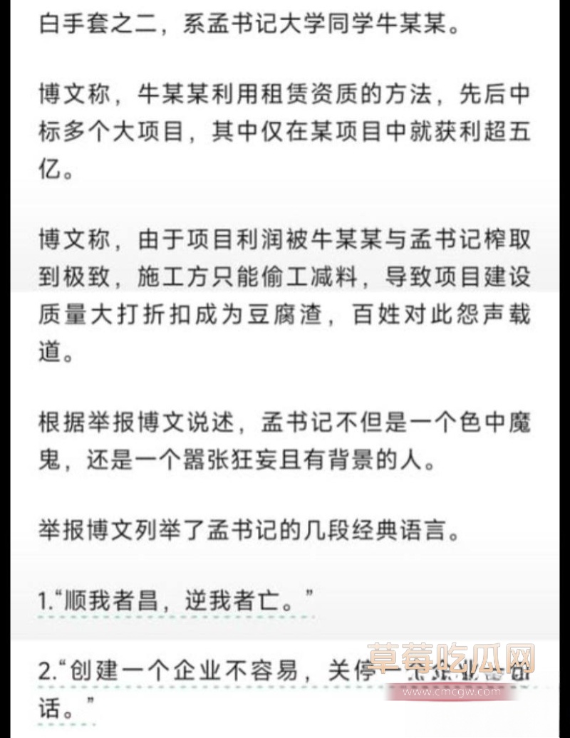 河北临西县委书记孟宪鹏 9