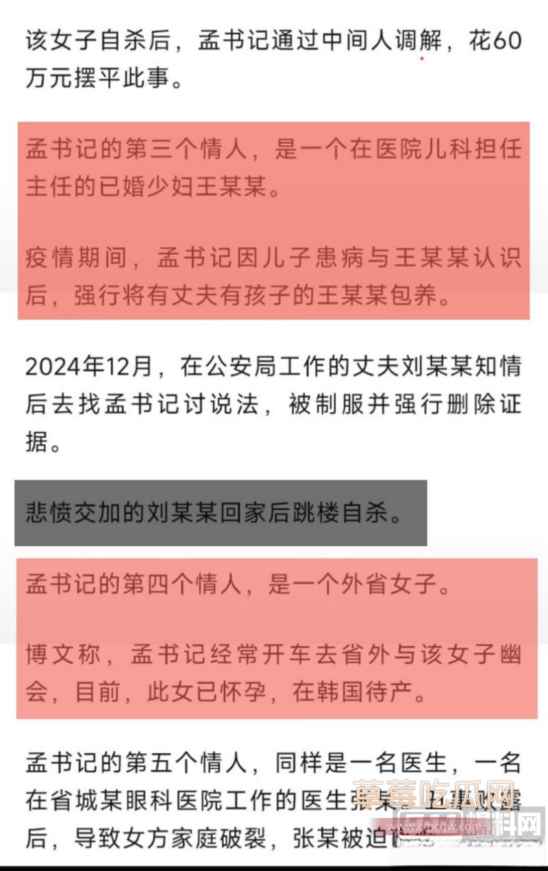 河北临西县委书记孟宪鹏 12