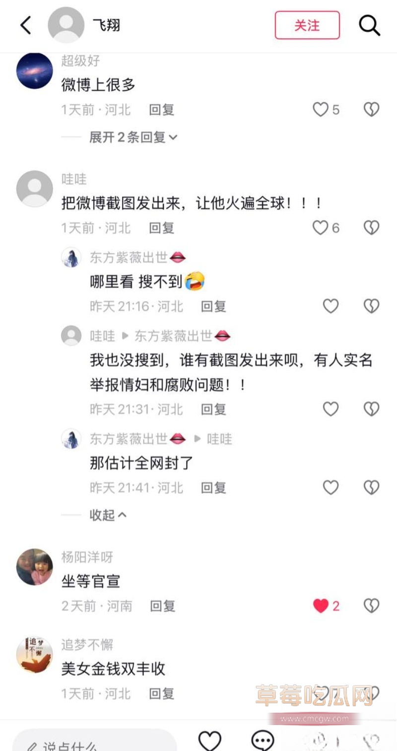 河北临西县委书记孟宪鹏 17
