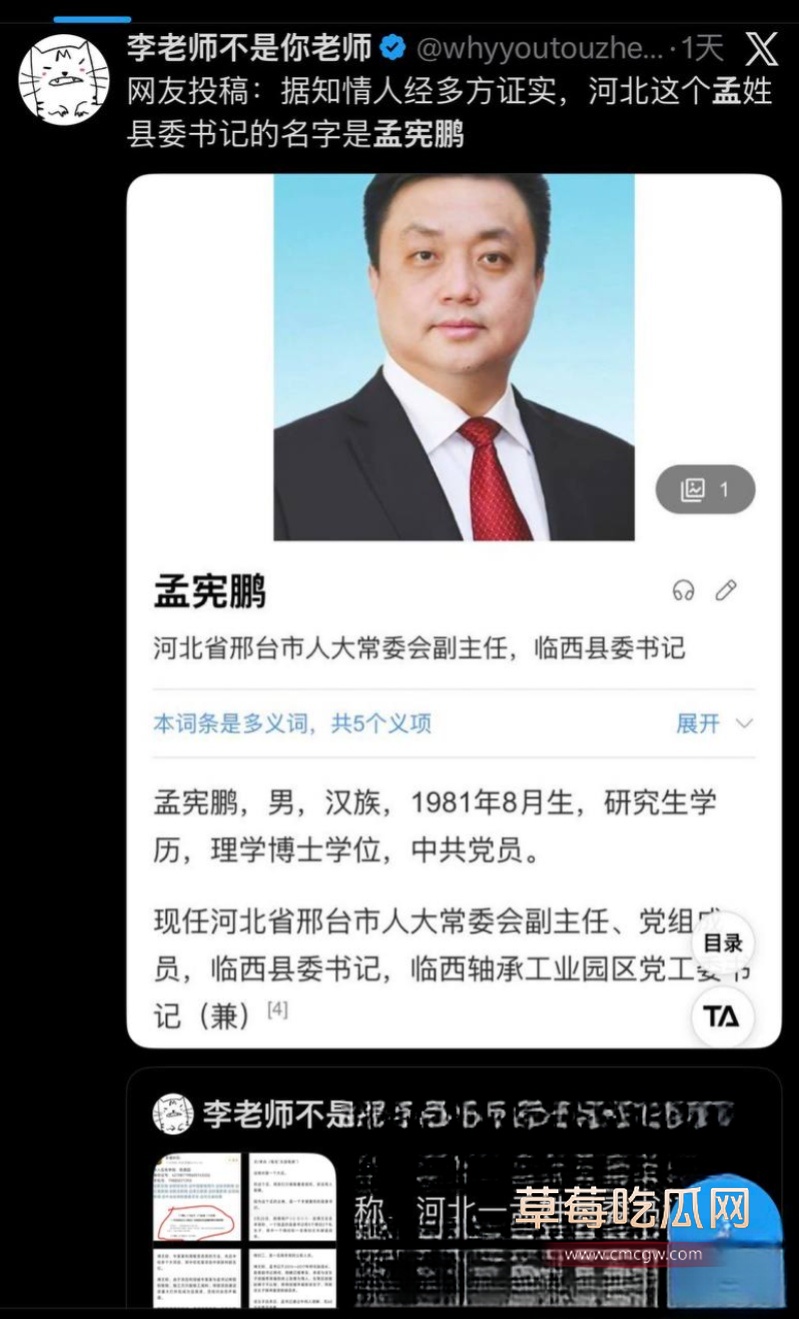 河北临西县委书记孟宪鹏 18