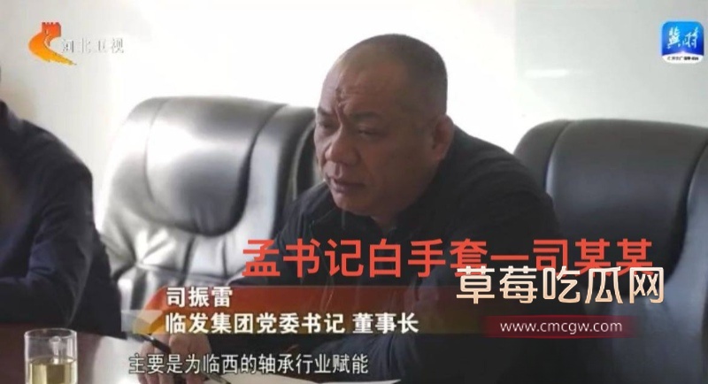 河北临西县委书记孟宪鹏 21