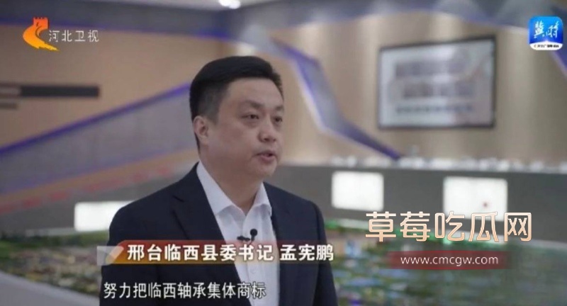 河北临西县委书记孟宪鹏 22