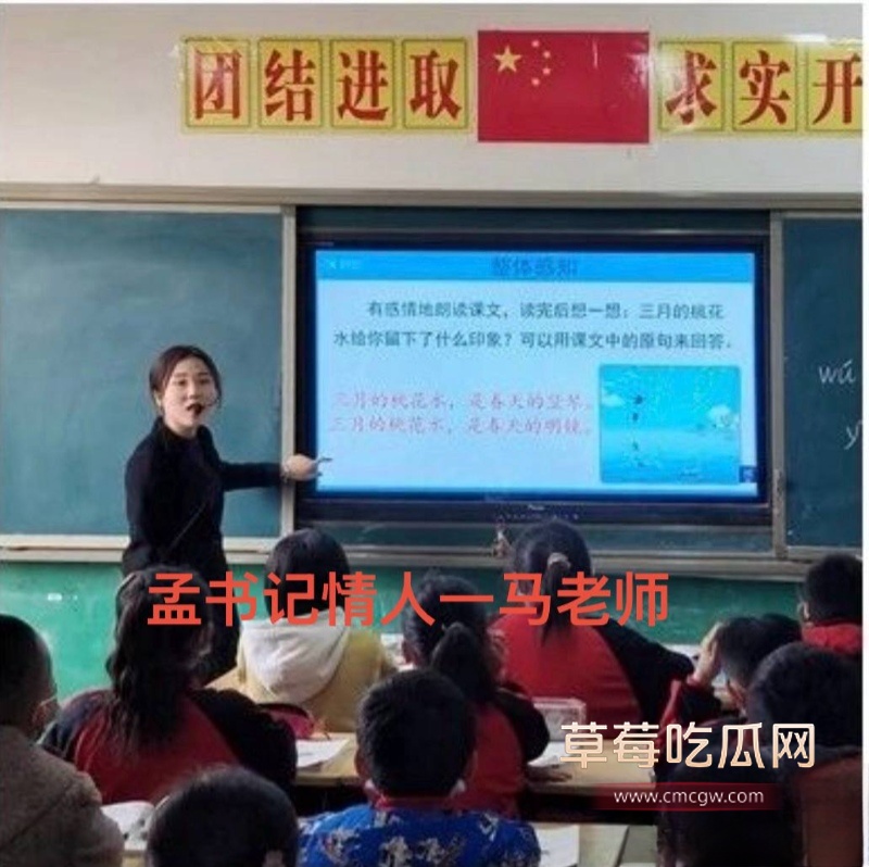 河北临西县委书记孟宪鹏 25