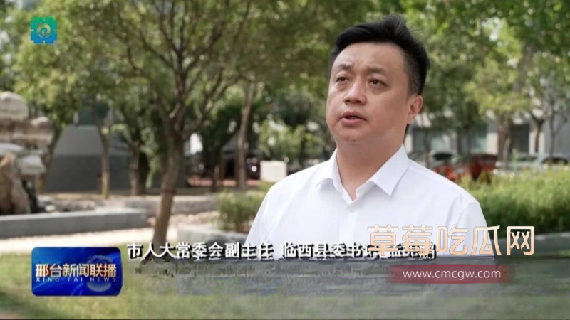 河北临西县委书记孟宪鹏 33