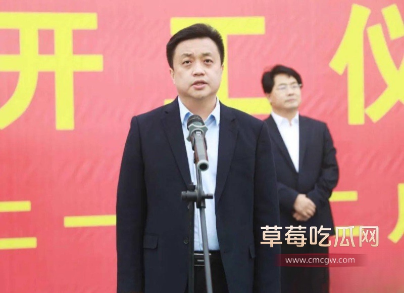 河北临西县委书记孟宪鹏 35