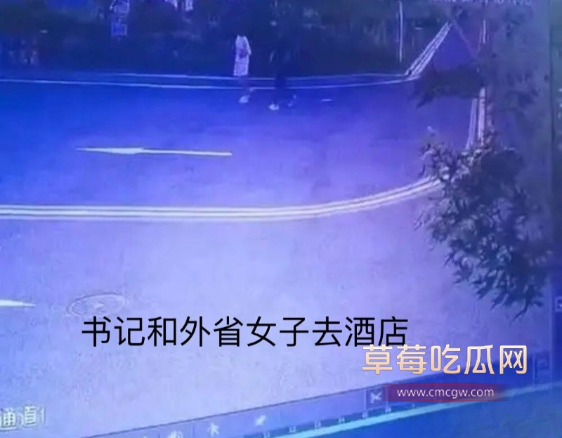 河北临西县委书记孟宪鹏 37