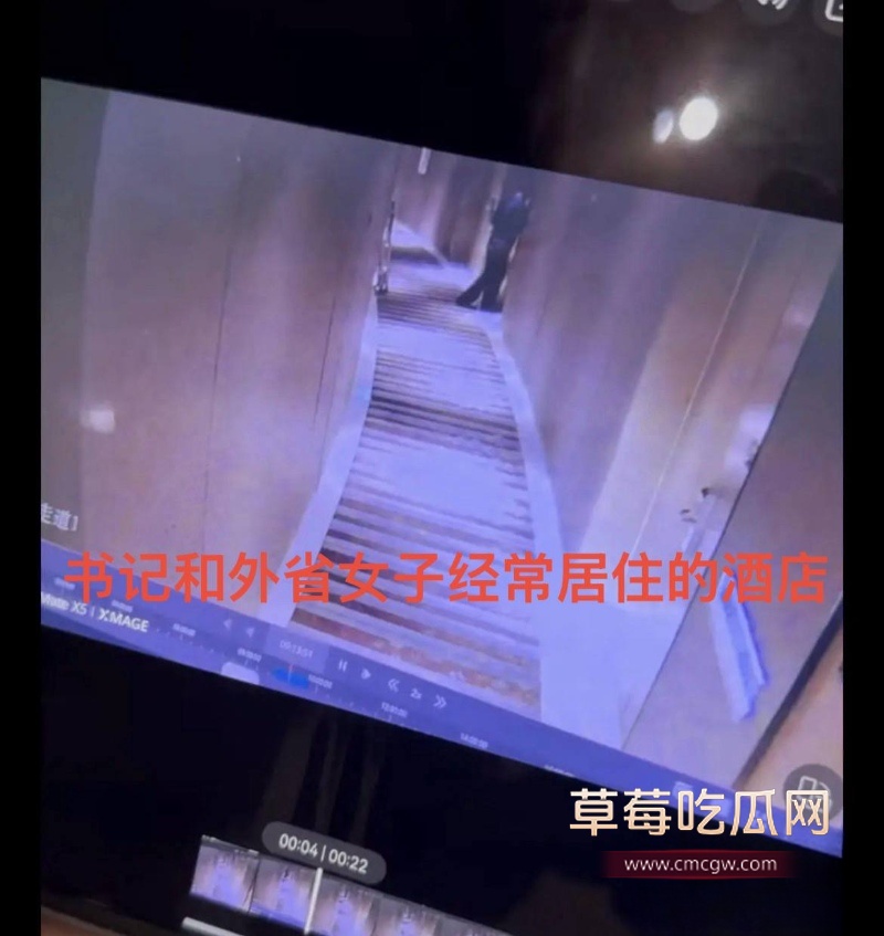 河北临西县委书记孟宪鹏 38