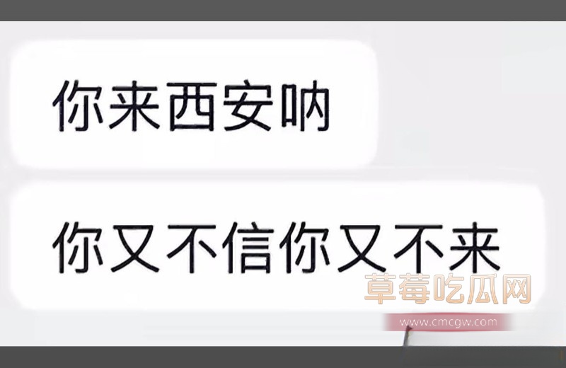金有财6 金有财6