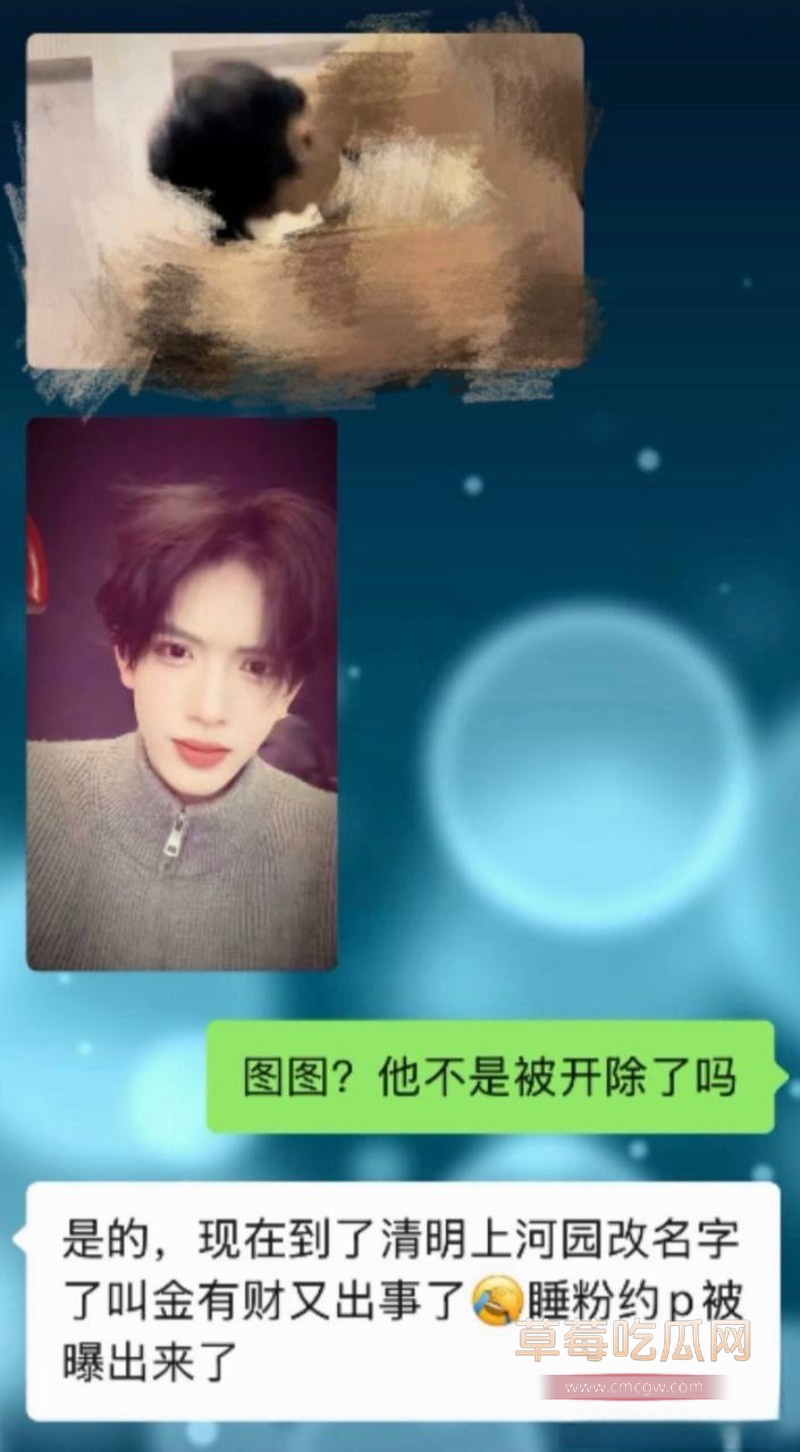 金有财17 金有财17