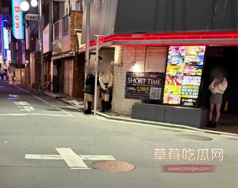 出国卖淫的年轻日本女性数量正在不断增加 29