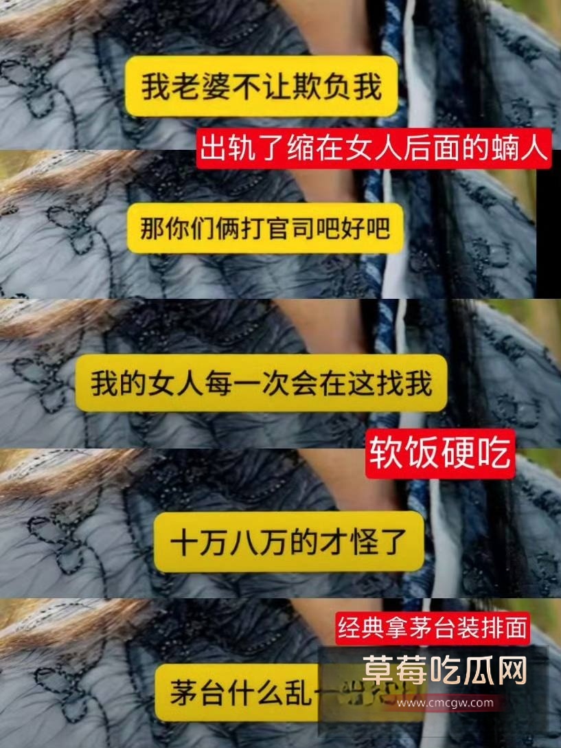 慕容复39