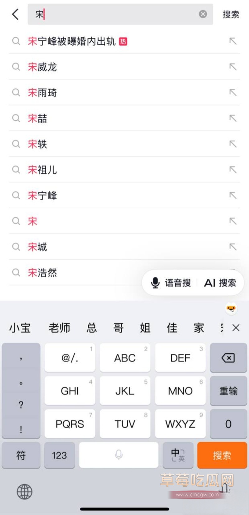 45岁演员 宋宁峰 被曝婚内出轨 29