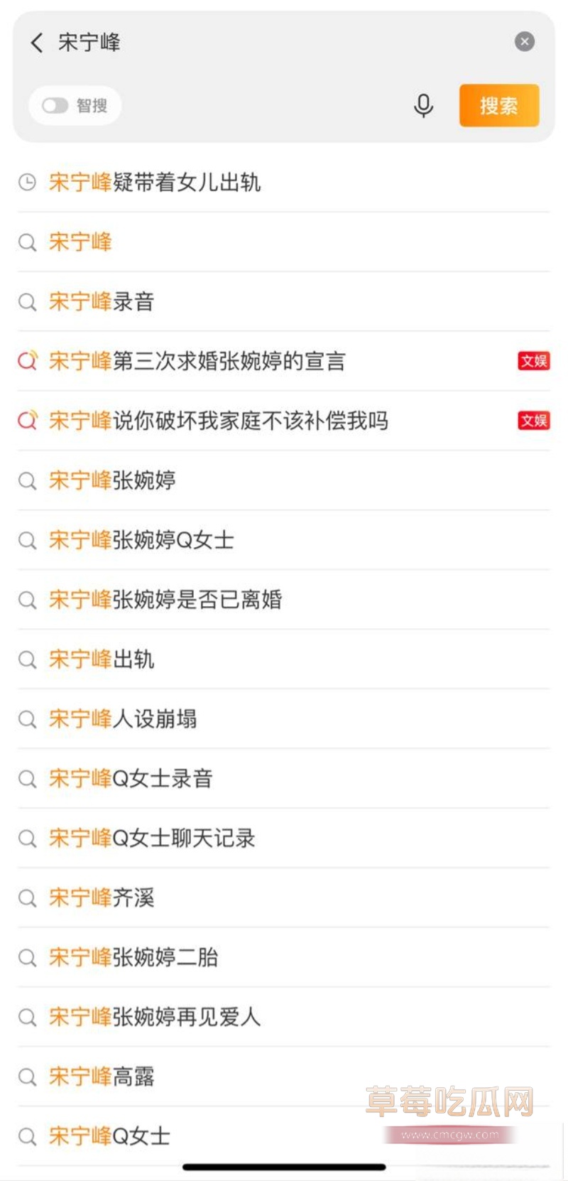 45岁演员 宋宁峰 被曝婚内出轨 31
