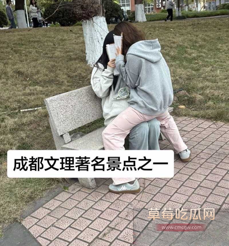 成都文理12