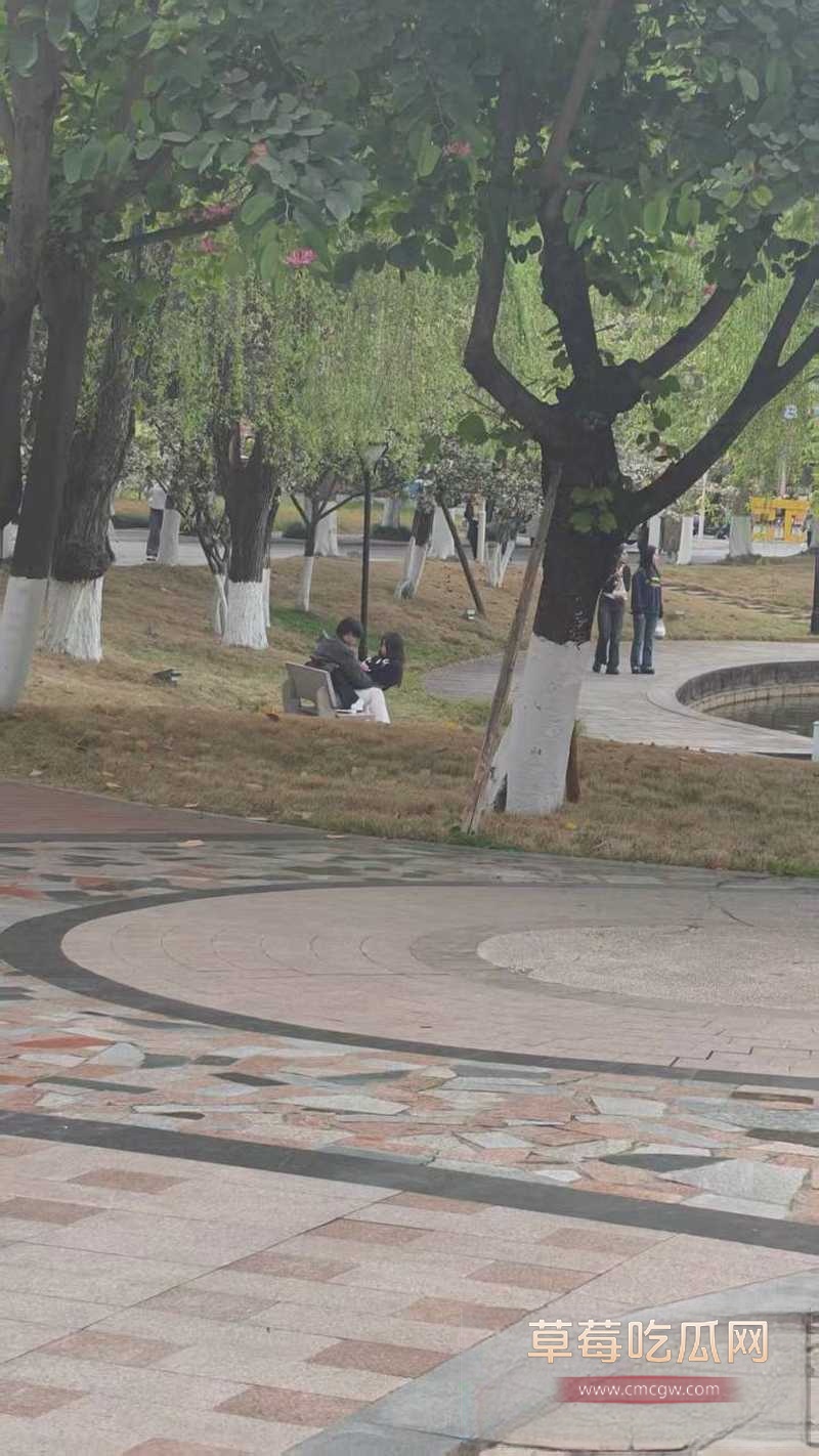成都文理14