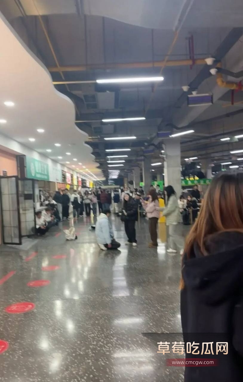 年度校园大瓜 河科大食堂渣男下跪5