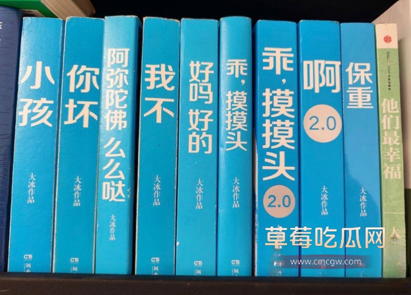 抖音网红人生导师 大冰 35