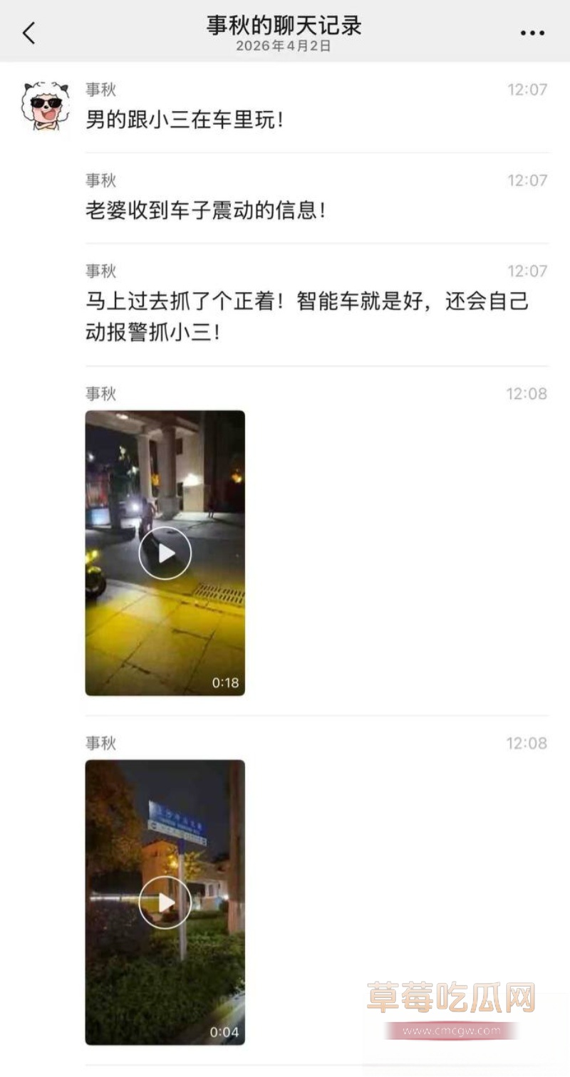 东莞街头抓奸打架 5