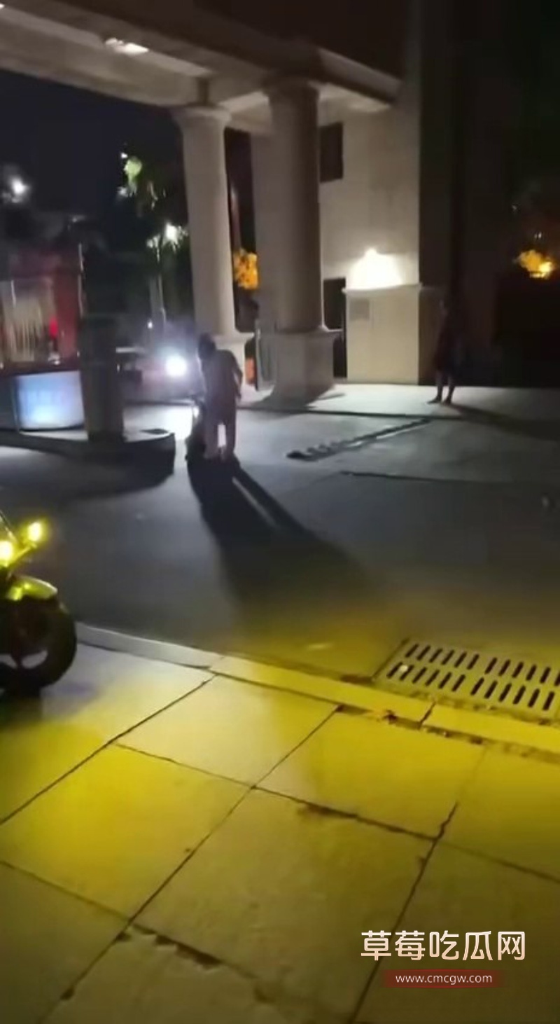 东莞街头抓奸打架 6