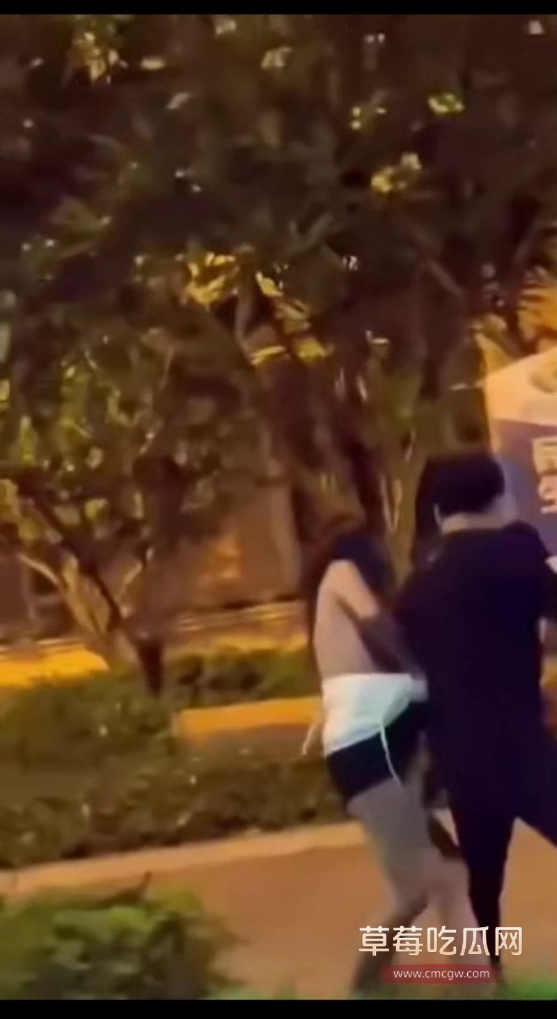东莞街头抓奸打架 7