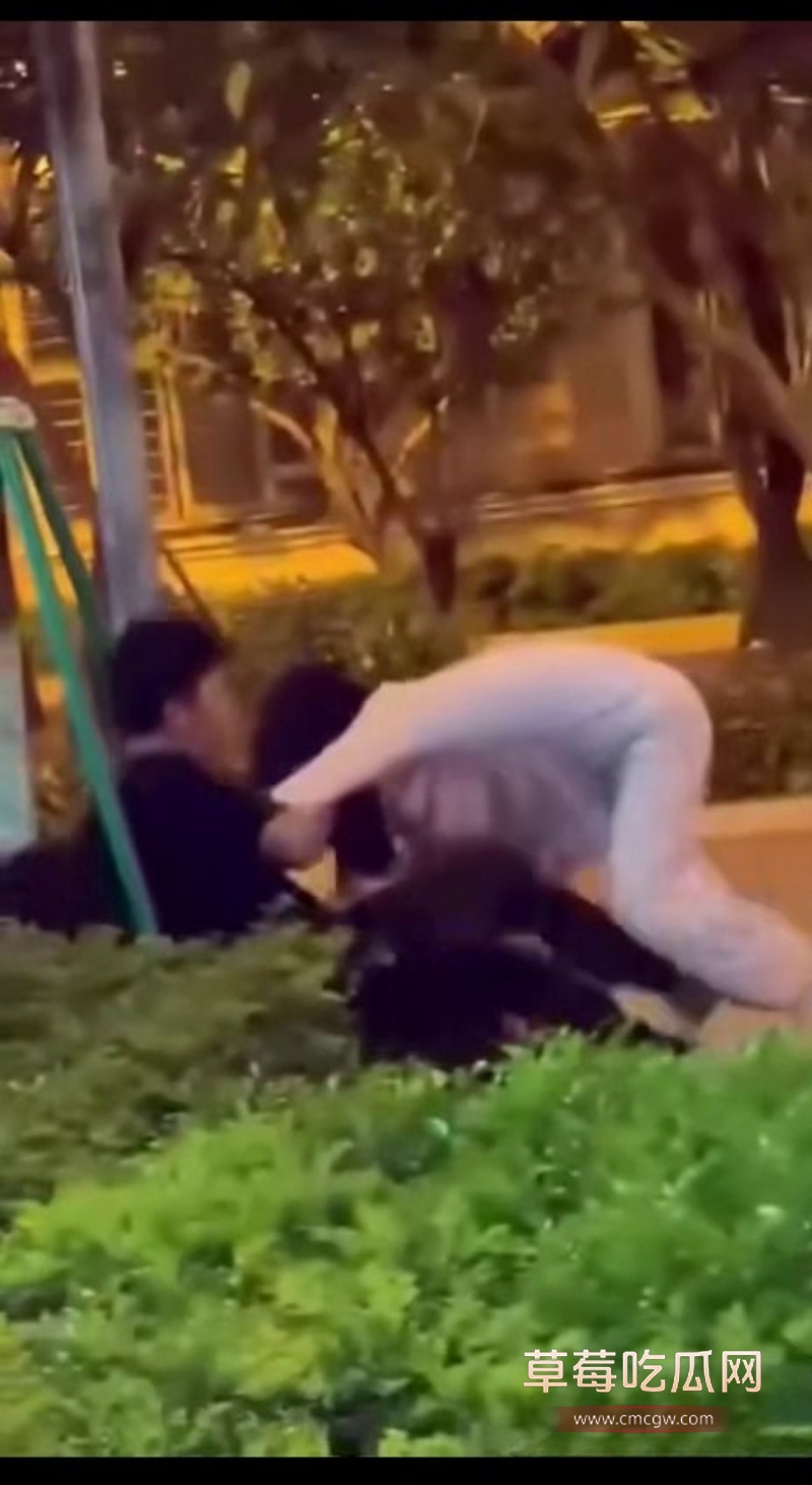 东莞街头抓奸打架 8