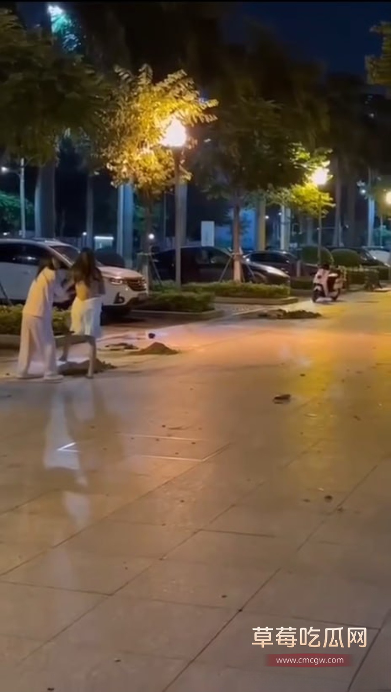 东莞街头抓奸打架 9