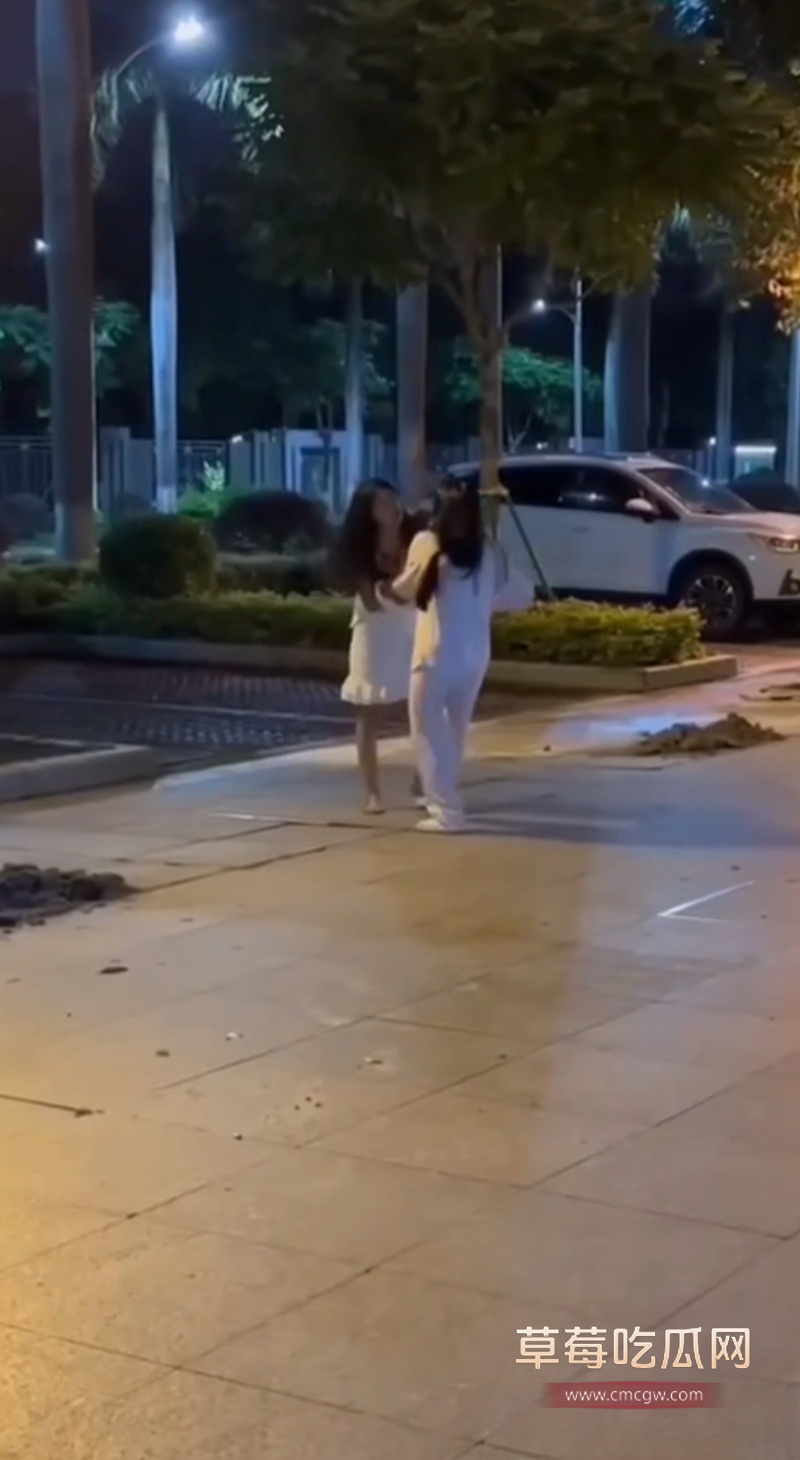 东莞街头抓奸打架 1
