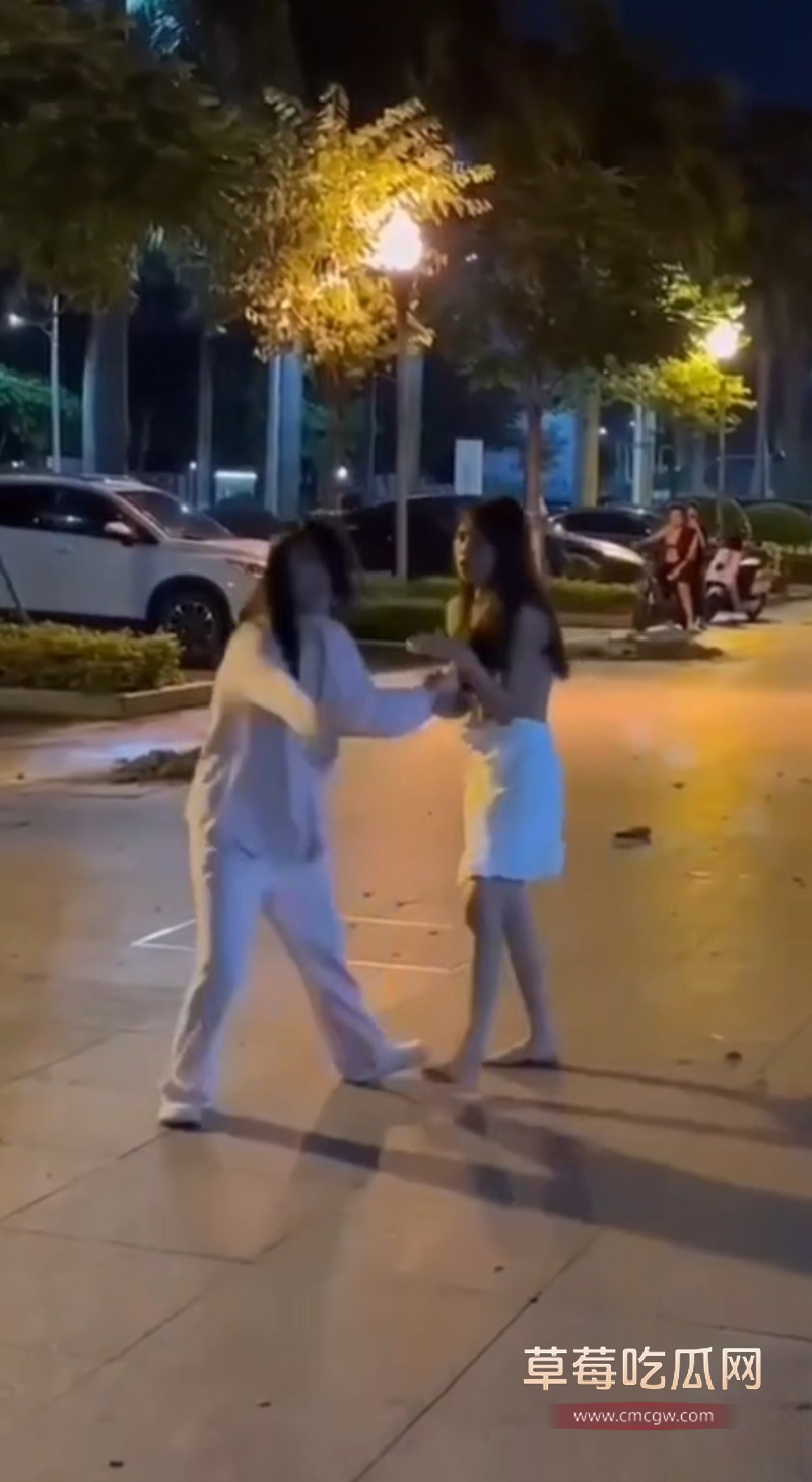 东莞街头抓奸打架 2