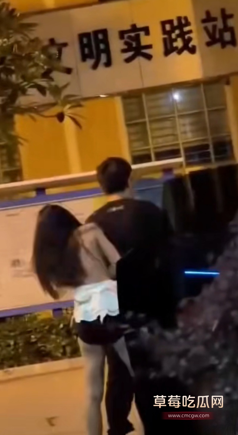 东莞街头抓奸打架 3