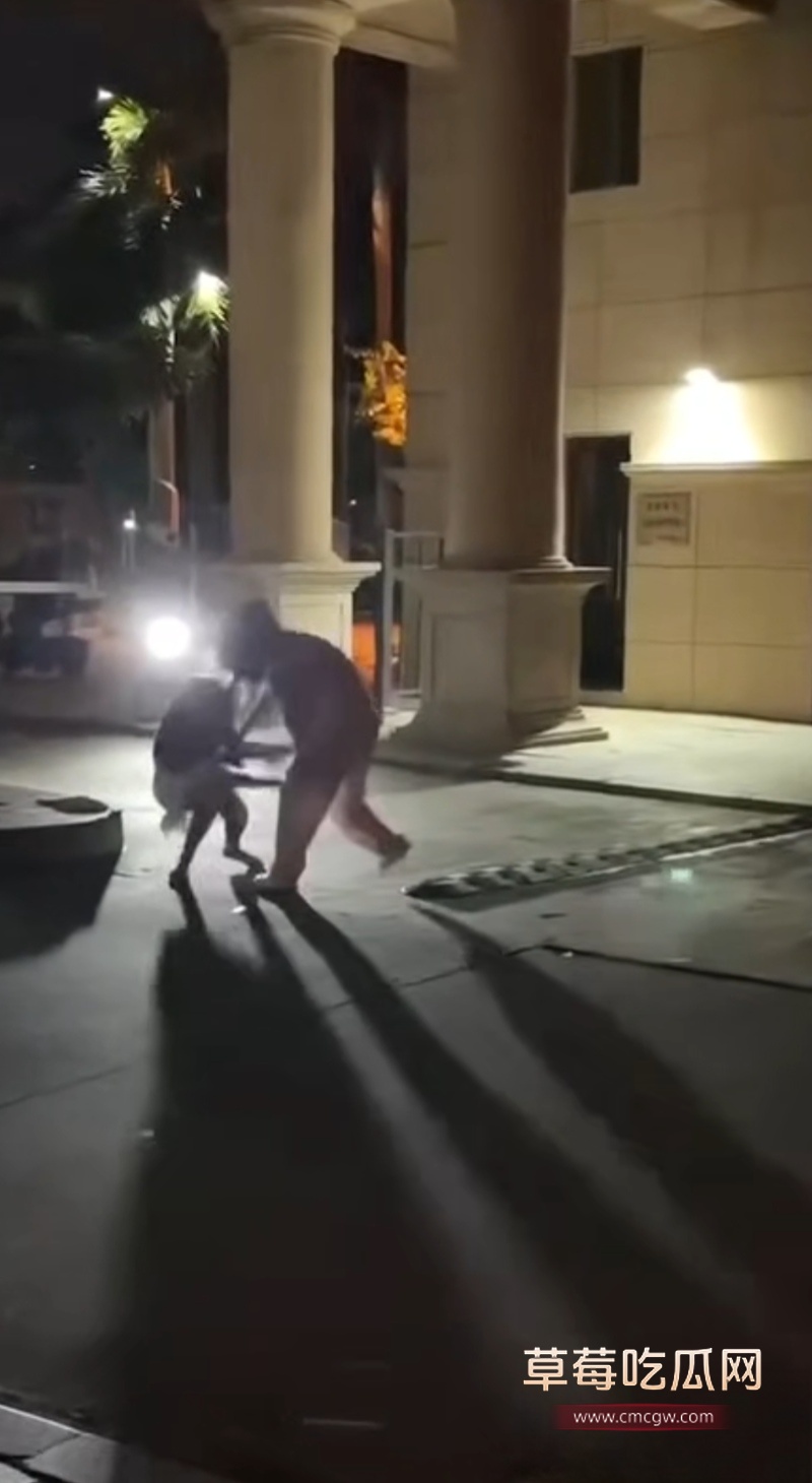 东莞街头抓奸打架 4