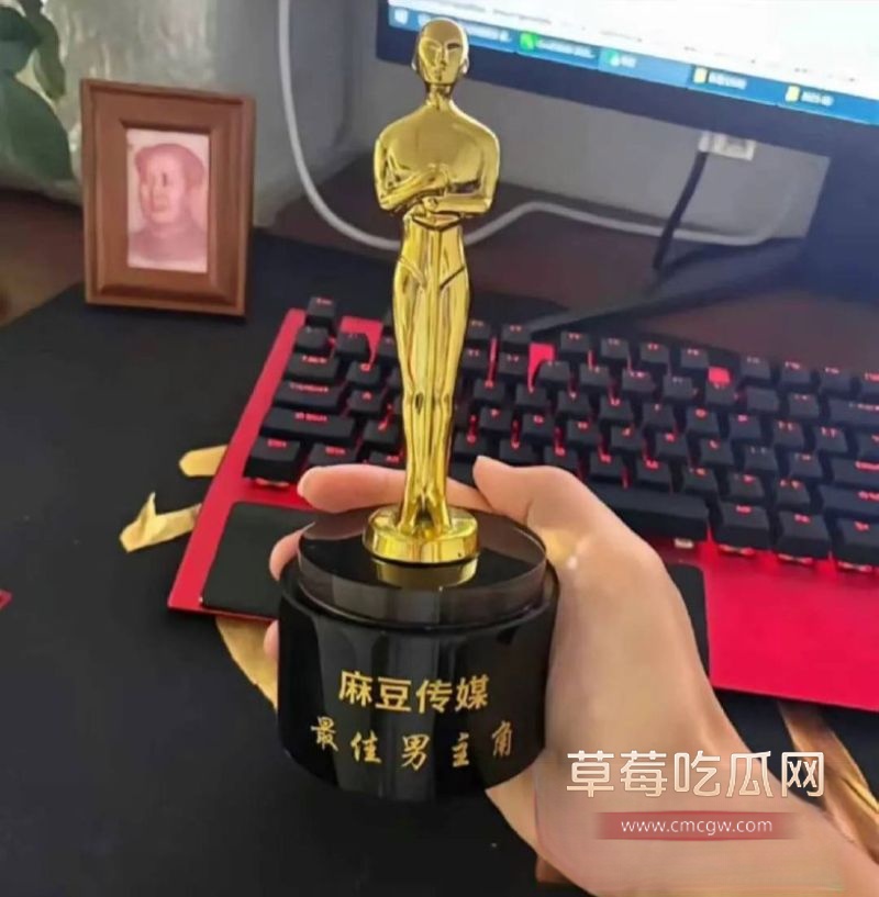 麻豆传媒停服公告6