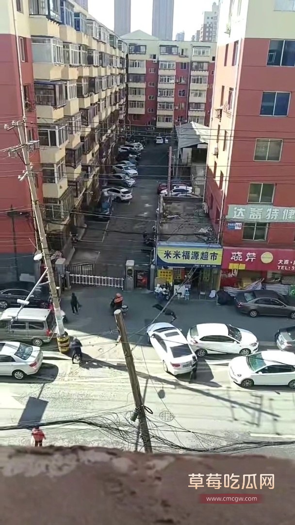 震惊沈阳砍头杀人案 血腥现场还原8