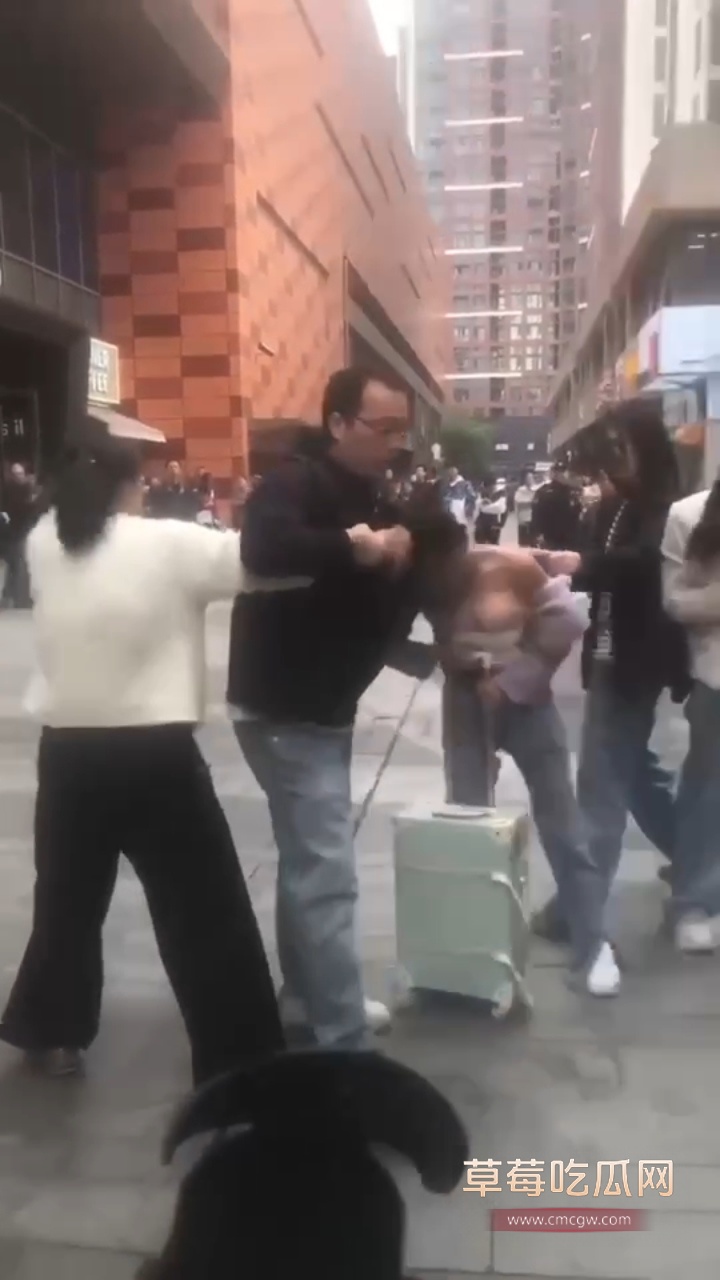 江苏街头原配抓小三撕扯曝光6 江苏街头原配抓小三撕扯曝光6