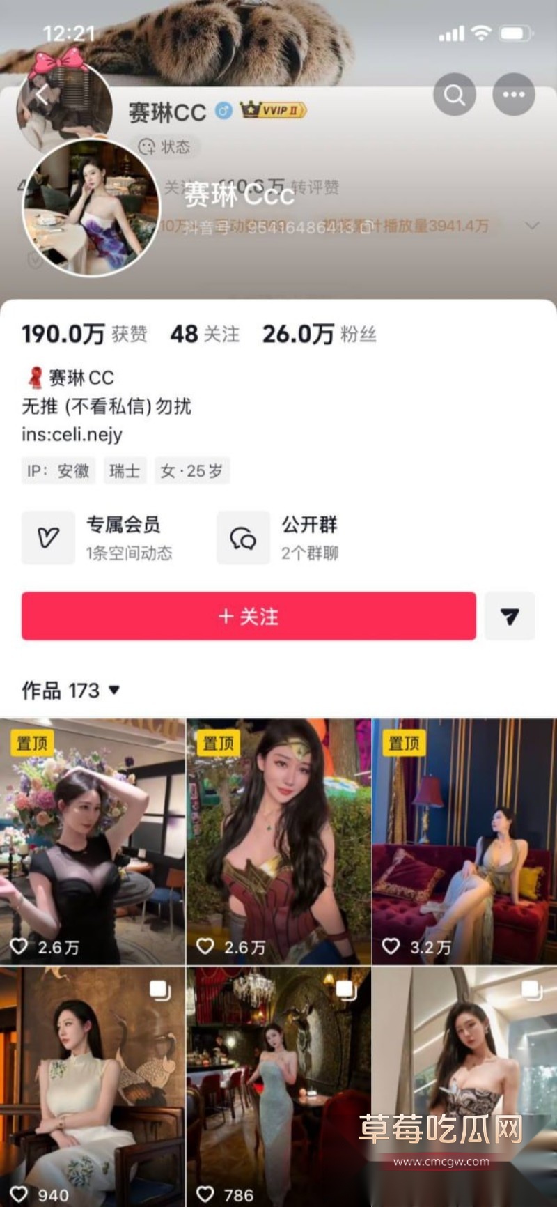 赛琳cc11